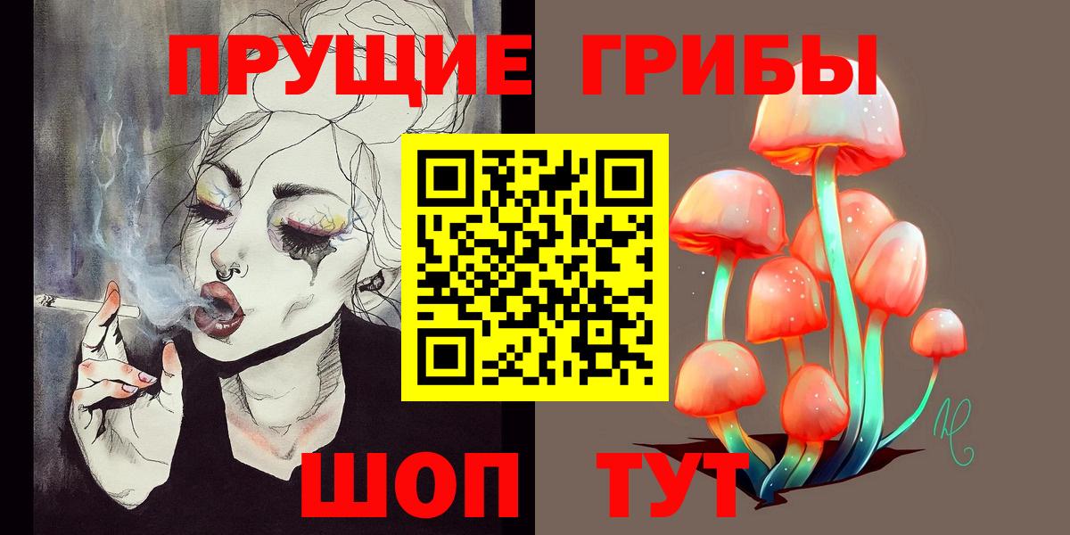 Псилоцибиновые грибы Cubensis Шатура
